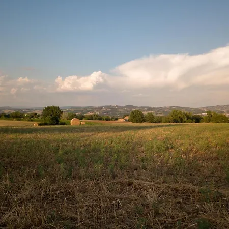 Consalvi * מרשאנו