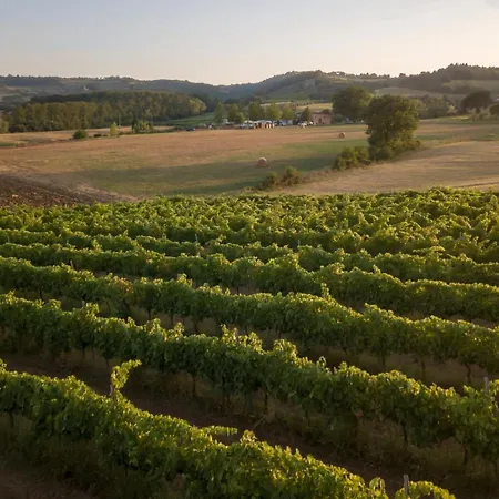 בית חווה Consalvi