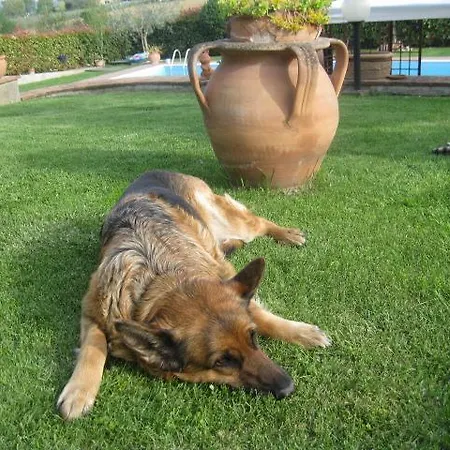 Farm stay Consalvi Valentina *