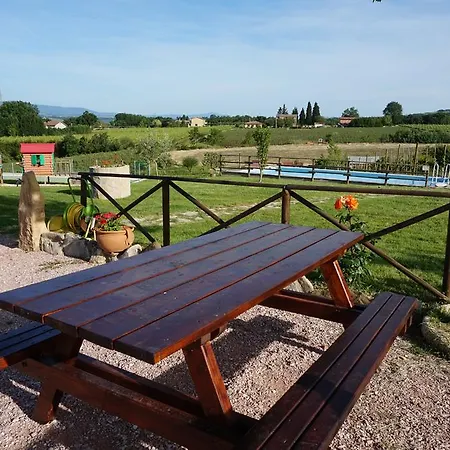 Consalvi מרשאנו