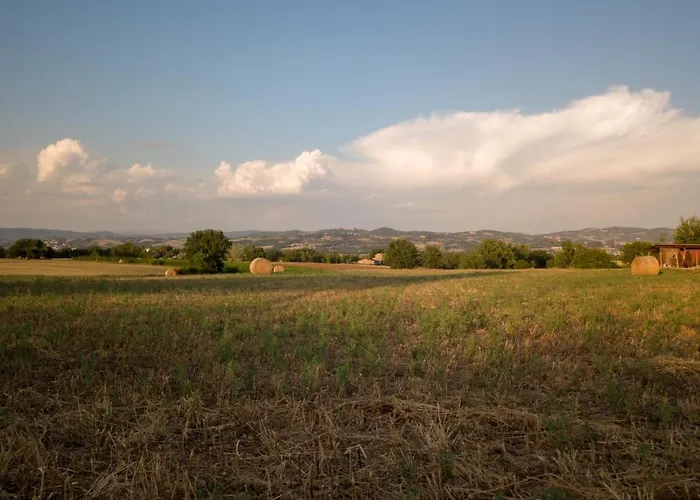 Consalvi * Marsciano